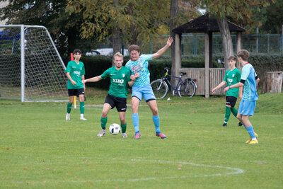 Foto des Albums: A Junioren gegen SpG Zepernick / Schwanebeck