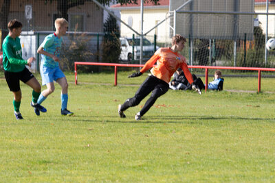 Foto des Albums: A Junioren gegen SpG Zepernick / Schwanebeck