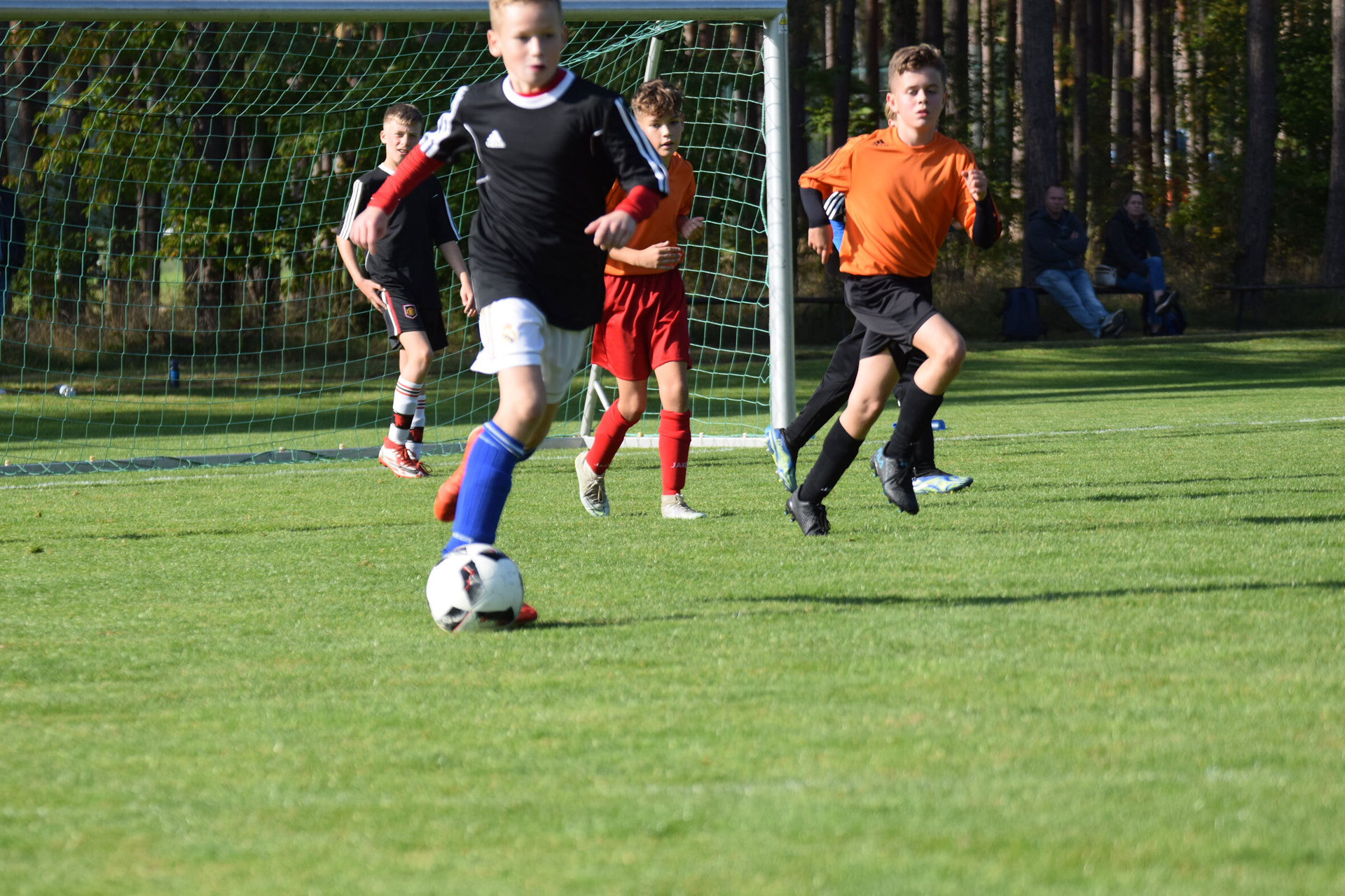 Bild der Galerie