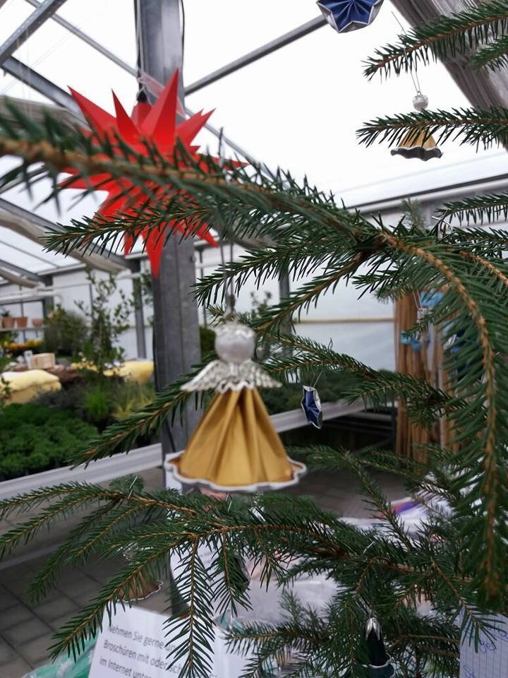 Bild : Weihnachtsdeko