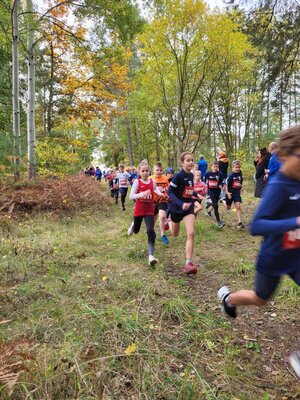Foto des Albums: Karpiner Herbstcross, 16.10.2022