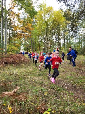 Foto des Albums: Karpiner Herbstcross, 16.10.2022