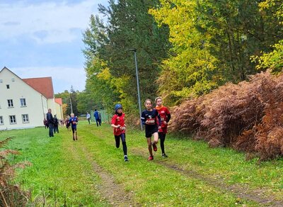 Foto des Albums: Karpiner Herbstcross, 16.10.2022