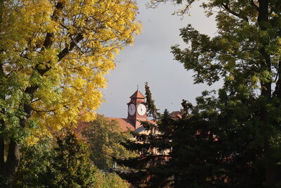 Foto des Albums: Herbstspaziergang im Rosengarten (19.10.2022)