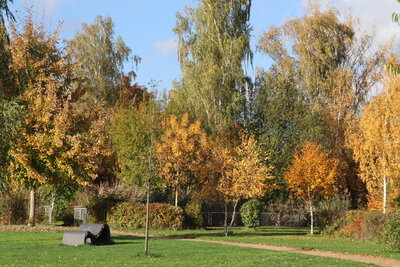 Foto des Albums: Herbstspaziergang im Rosengarten (19.10.2022)