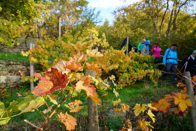 Am Weinberg  (Bild vergr&ouml;&szlig;ern)