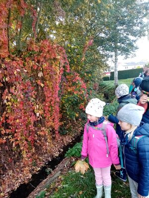 Foto des Albums: Herbstferien - Kürbiswoche/Waldwoche