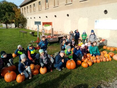 Foto des Albums: Herbstferien - Kürbiswoche/Waldwoche