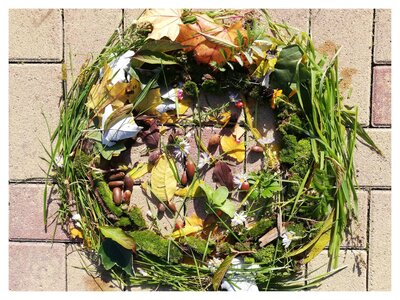 Foto des Albums: Herbstbilder 3a