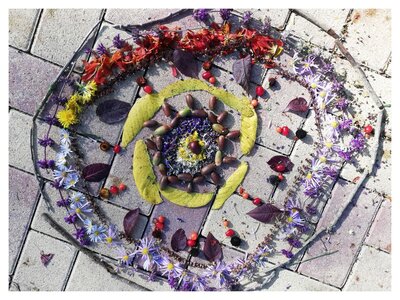 Foto des Albums: Herbstbilder 3a