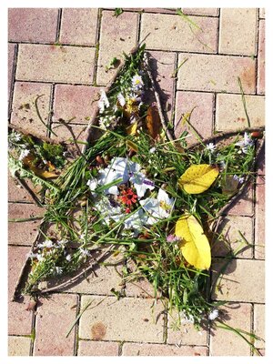 Foto des Albums: Herbstbilder 3a