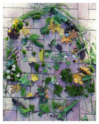 Foto des Albums: Herbstbilder 3a