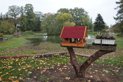 Vorschaubild: Am Teich - das neue Vogelhaus