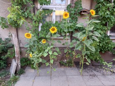 Foto des Albums: Fotowettbewerb 