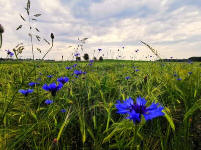 Foto des Albums: Fotowettbewerb 