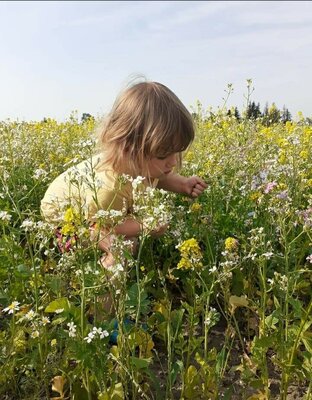 Foto des Albums: Fotowettbewerb 