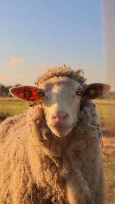 Foto des Albums: Fotowettbewerb 
