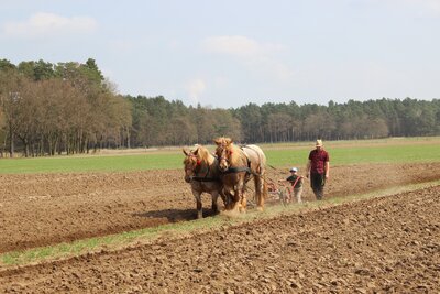 Foto des Albums: Fotowettbewerb 