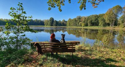 Foto des Albums: Fotowettbewerb 