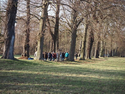 Vorschaubild der Galerie