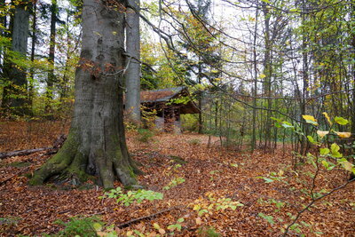 Schutzh&uuml;tte Kohlenstra&szlig;e  (Bild vergr&ouml;&szlig;ern)