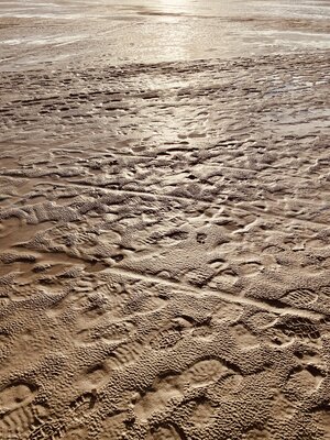 Foto des Albums: Altherrenfahrt SPO