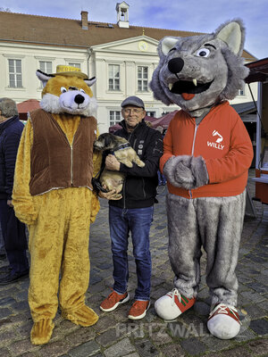 Foto des Albums: Kniepermarkt unter blauem Himmel