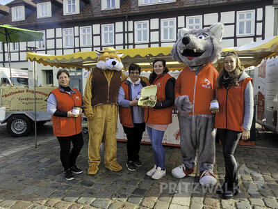 Foto des Albums: Kniepermarkt unter blauem Himmel