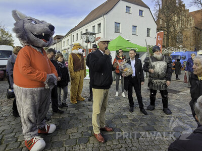 Foto des Albums: Kniepermarkt unter blauem Himmel