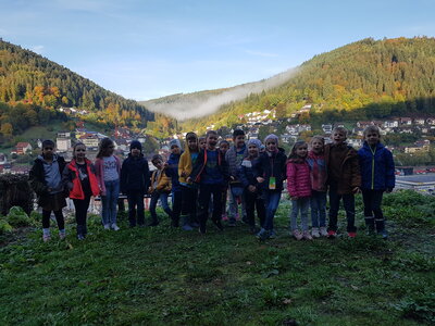 Foto des Albums: Naturparkmodul: Wald2022