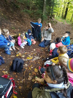 Foto des Albums: Naturparkmodul: Wald2022