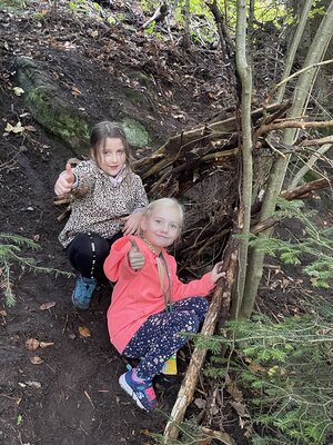 Foto des Albums: Naturparkmodul: Wald2022