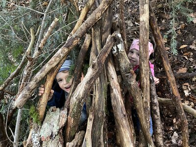 Foto des Albums: Naturparkmodul: Wald2022
