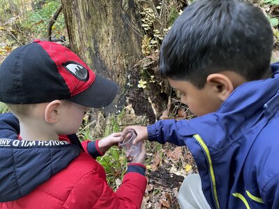 Foto des Albums: Naturparkmodul: Wald2022