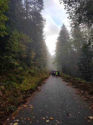 Foto des Albums: Wandertag2022