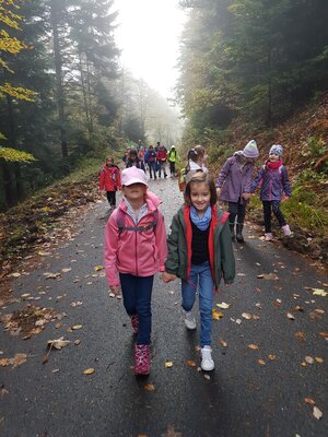 Foto des Albums: Wandertag2022