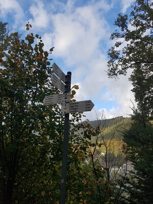 Foto des Albums: Wandertag2022
