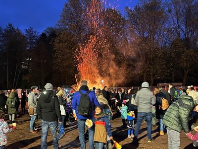 Foto des Albums: Sankt Martin