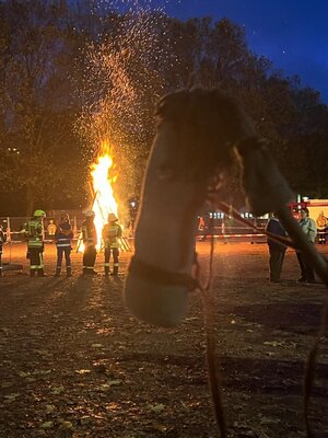 Foto des Albums: Sankt Martin