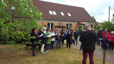 Foto des Albums: Alte Ulme in Gülitz ist nun offiziell ausgerufen