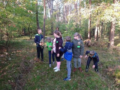 Foto des Albums: Aufholen nach Corona- Projekt Kl.4 mit der Wildnis Schule Schönholz (14. 10. 2022)