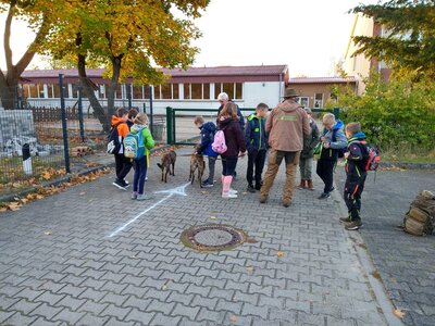 Foto des Albums: Aufholen nach Corona- Projekt Kl.4 mit der Wildnis Schule Schönholz (14. 10. 2022)