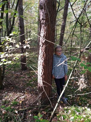 Foto des Albums: Aufholen nach Corona- Projekt Kl.4 mit der Wildnis Schule Schönholz (14. 10. 2022)