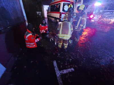 Foto des Albums: Jugendfeuerwehr besucht Rettungshunde