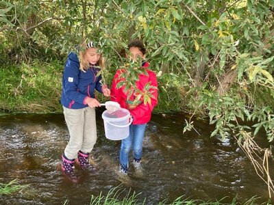 Foto des Albums: Klasse 4 im Schullandheim in Legau vom 26. bis 28. September