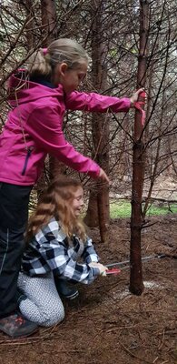 Foto des Albums: WaldmedizinerInnen bei der Arbeit
