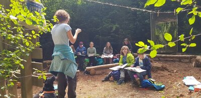 Foto des Albums: WaldmedizinerInnen bei der Arbeit