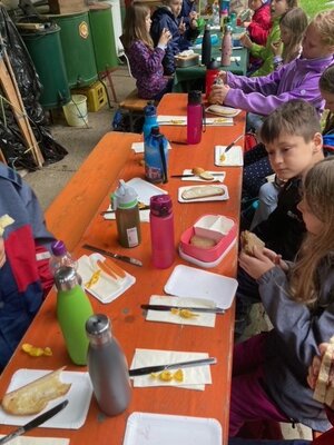 Foto des Albums: Klasse 3 macht einen Ausflug nach Gunzenweiler ins Bienenmuseum zu Anton Feiner