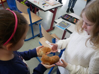 Foto des Albums: Begegnungen mit der Schule aus Eger: St. Martin (14. 11. 2022)