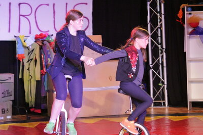 Foto des Albums: Jokesshow 2022